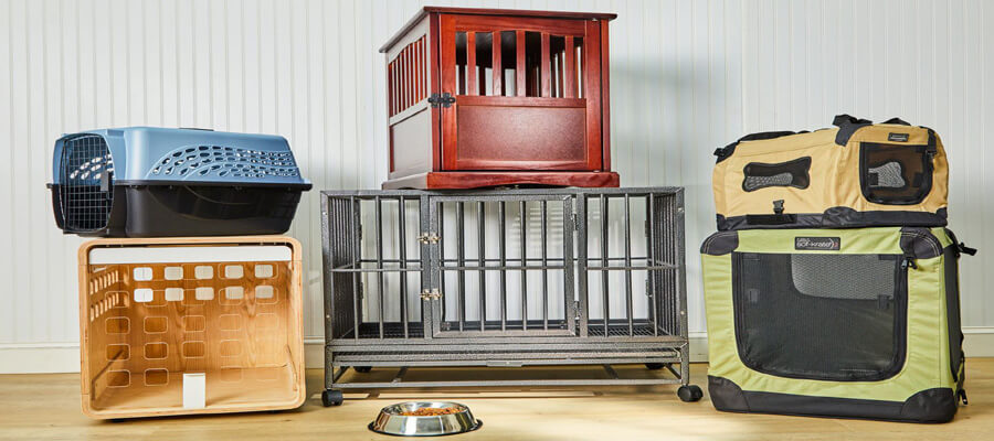 The Best Dog Crates for Travel and Home